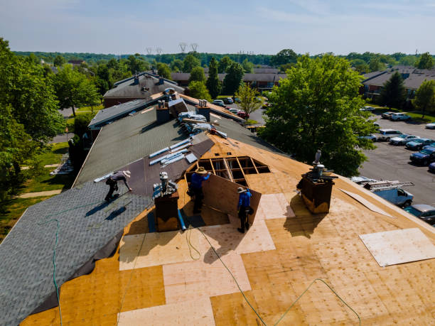 Quick and Trustworthy Emergency Roof Repair Services in Laredo, TX