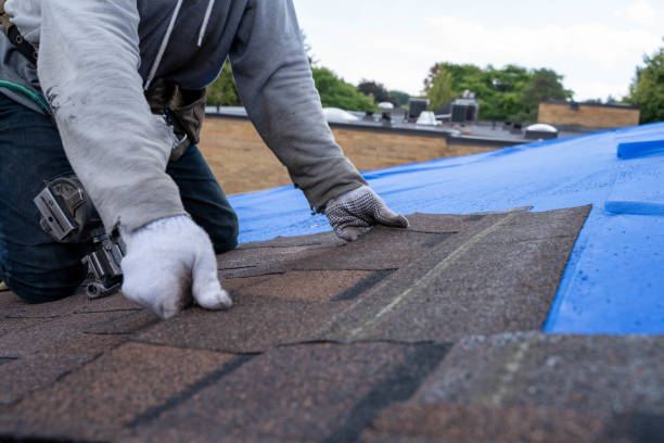 Roof Installation Near Me in Laredo, TX